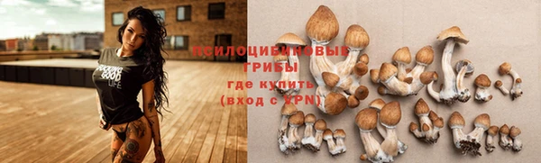 СК Мегион