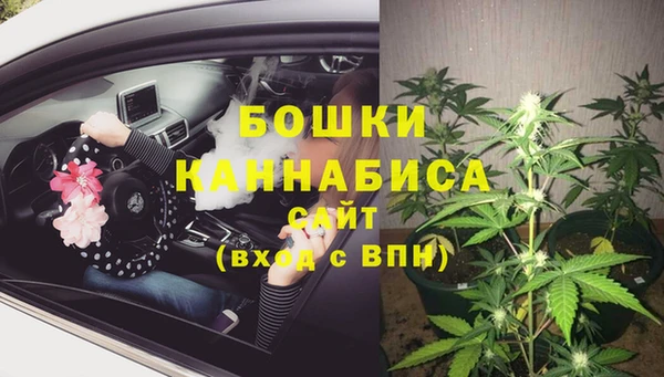 СК Мегион