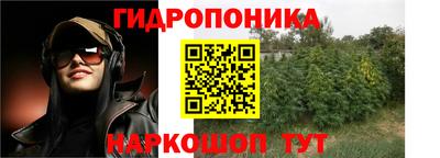 крисы Гагарин
