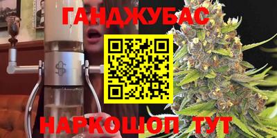 крисы Гагарин