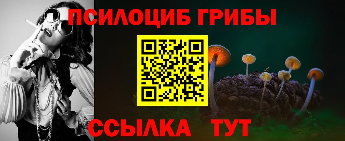 Электросталь  Галлюциногенные грибы ЛСД  Вход с VPN 